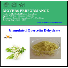 High Quality Natural Pigment Quercetin Dehydrate (Quercetin 98%)